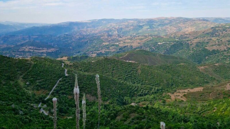 Lula: Montalbo hiking - Final Thoughts