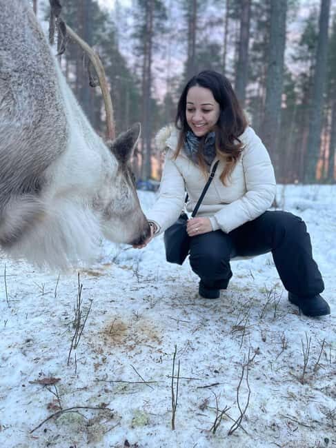 Luleå: Encounter with Reindeer Experience - The Practical Side: What You Need to Know