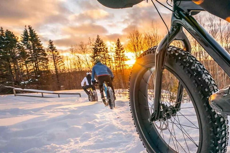 Luleå: Fatbike Rental, explore Luleå like a Local! - Practical Details: Pricing, Duration, and Group Size