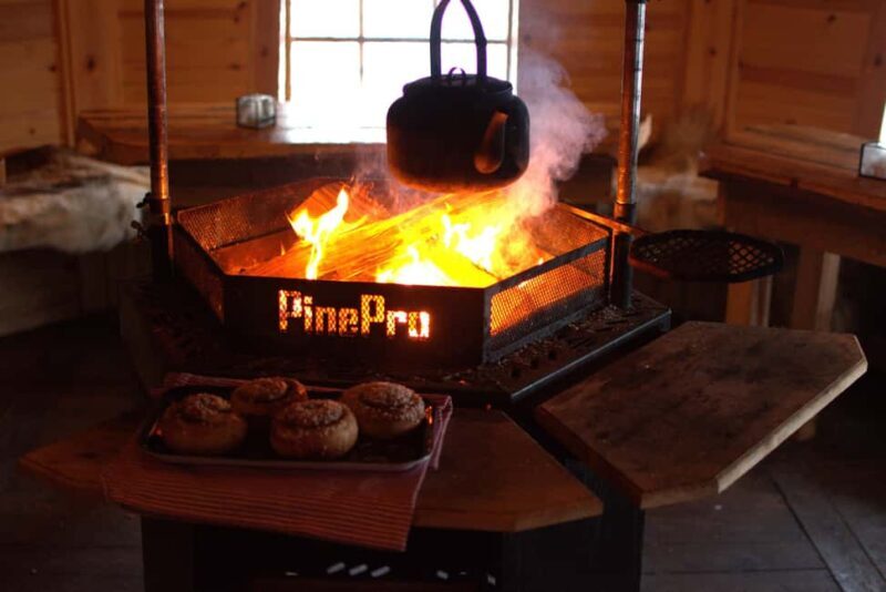 Luleå: Guided Dog Sledding Tour - The Sum Up