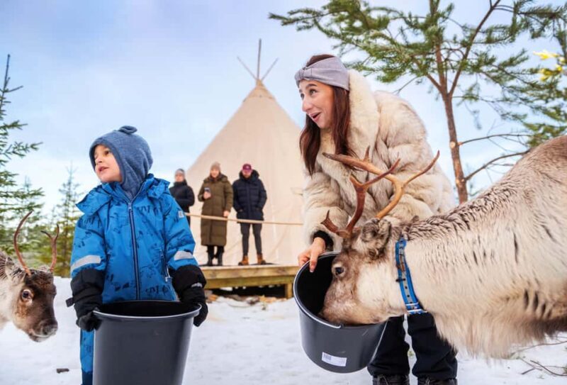 Luleå: Meet the Reindeer, Sámi Flavors & Stories by the Fire - An Authentic Cultural Encounter in the Arctic