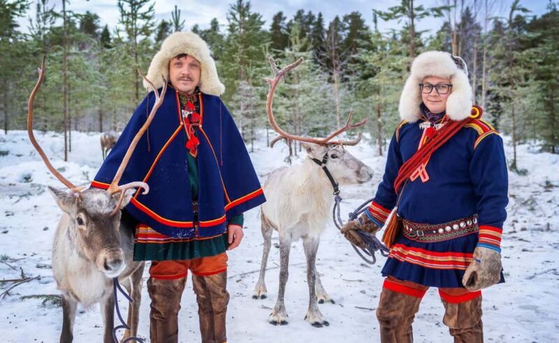 Luleå: Meet the Reindeer, Sámi Flavors & Stories by the Fire - Meeting and Feeding the Reindeer