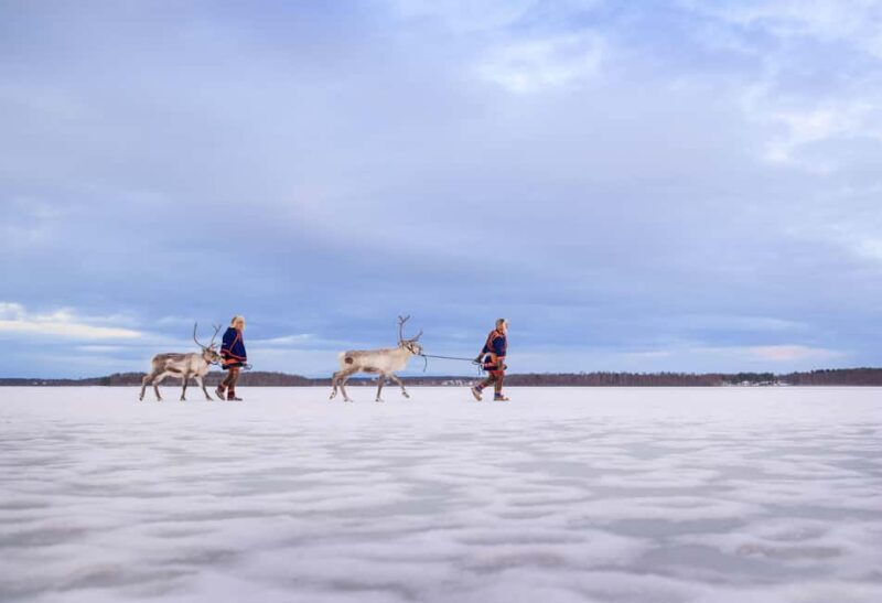 Luleå: Meet the Reindeer, Sámi Flavors & Stories by the Fire - Final Thoughts