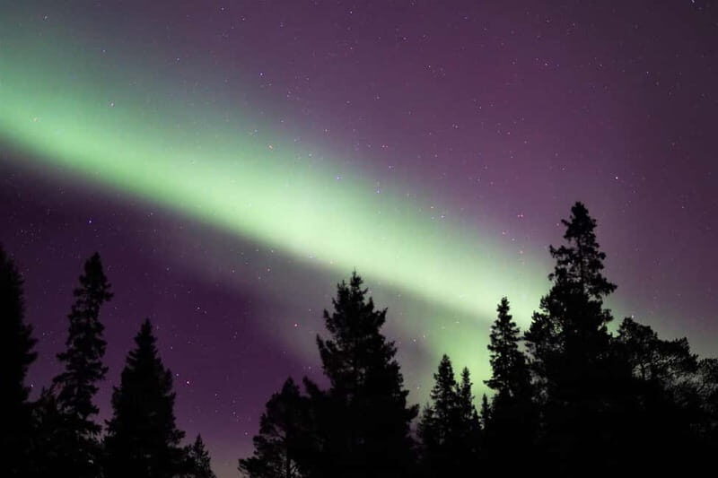 Luleå: Northern Lights Snowshoeing Tour - Luleå: Northern Lights Snowshoeing Tour — A Genuine Arctic Adventure
