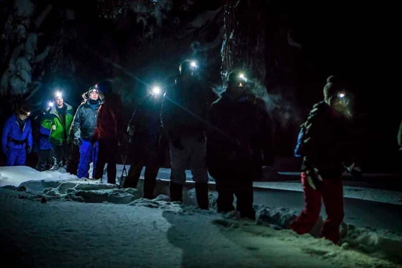Luleå: Northern Lights Snowshoeing Tour - Photography Tips and How to Capture the Lights