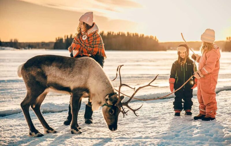 Luleå: Sami Culture & Reindeer Winter Experience - The Experience’s Strengths and Limitations