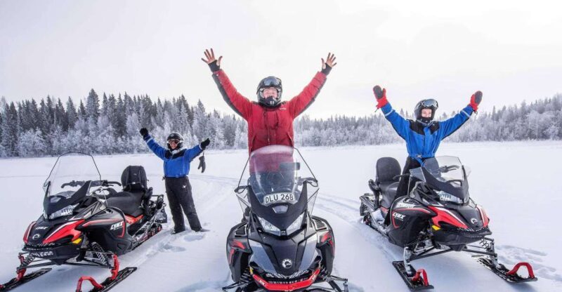 Luleå : Snowmobile - Forest and Ice Nature Tour 2h - Key Points