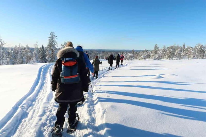 Luleå: snowshoeing in pristine nature with an expert guide! - What is Snowshoeing in Luleå Like?
