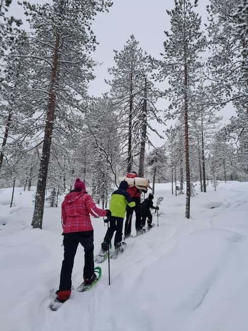 Luleå: snowshoeing in pristine nature with an expert guide! - Is This Tour Worth It?
