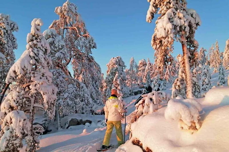 Luleå: snowshoeing in pristine nature with an expert guide! - Final Thoughts
