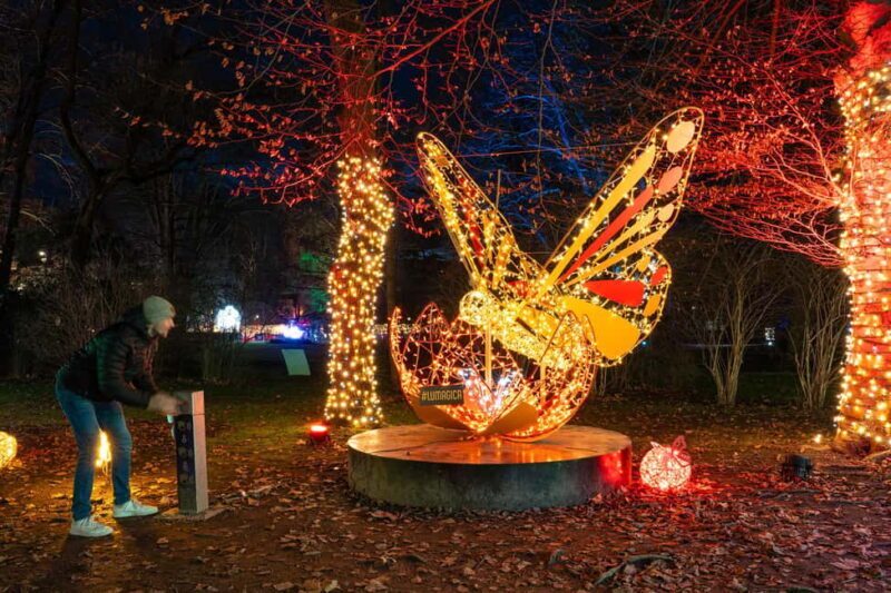 LUMAGICA Innsbruck '25/'26 - What Is LUMAGICA Innsbruck 25/26 All About?