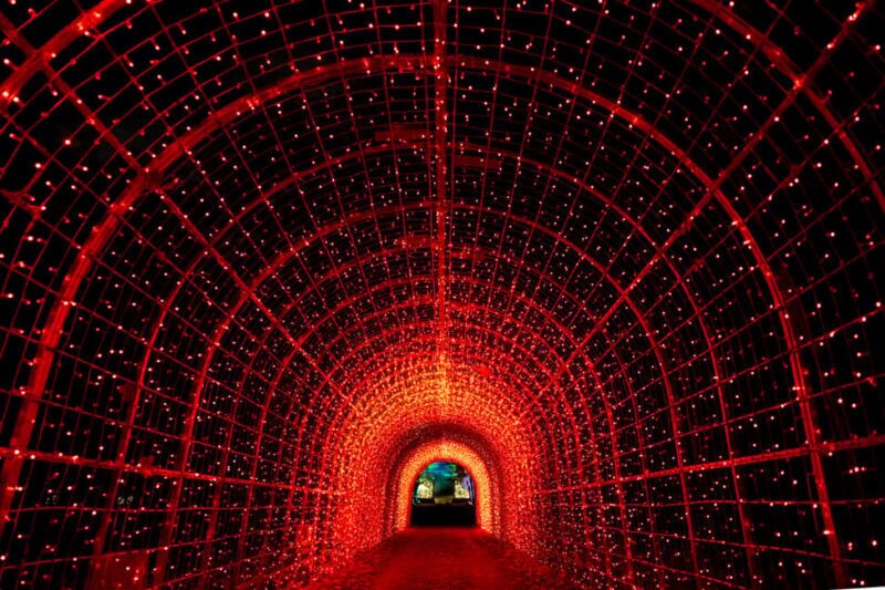 Lumières en Seine: freedom ticket - The Experience: What Visitors Say