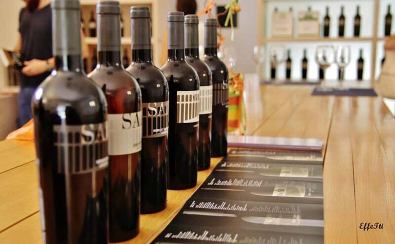 Lunch and tasting 5 wines + walk in the panoramic vineyards - An In-Depth Look at the Experience