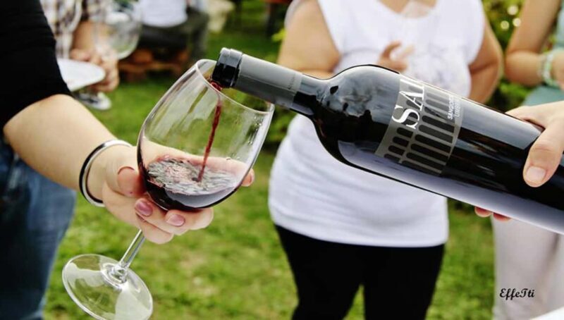 Lunch and tasting 5 wines + walk in the panoramic vineyards - FAQs