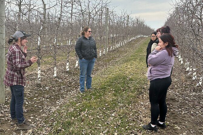 Lunch and Tour of an Apple Orchard with a Farmer in Elyria - The Practicals: Timing, Cost, and Considerations