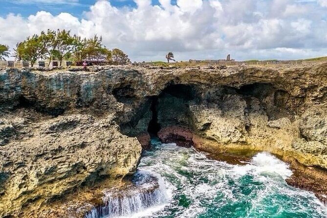 Lunch At Animal Flower Cave with Scenic Drive of Barbados - Final Thoughts: Is This Tour Right for You?