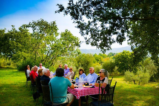 Lunch in the Olive Grove - A Taste of Tuscany: Lunch in the Olive Grove