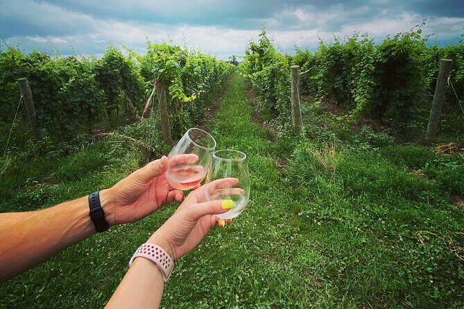 Lunch in the Vineyard: A Scenic Niagara Wine Tour Experience - Who Should Consider This Tour?