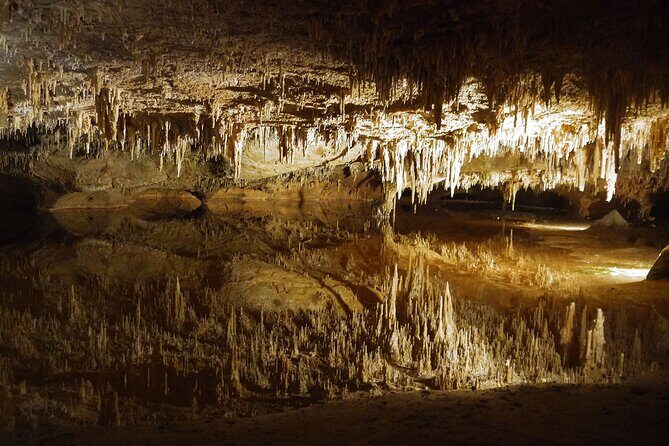 Luray Caverns, VA Private Tour - Key takeaways