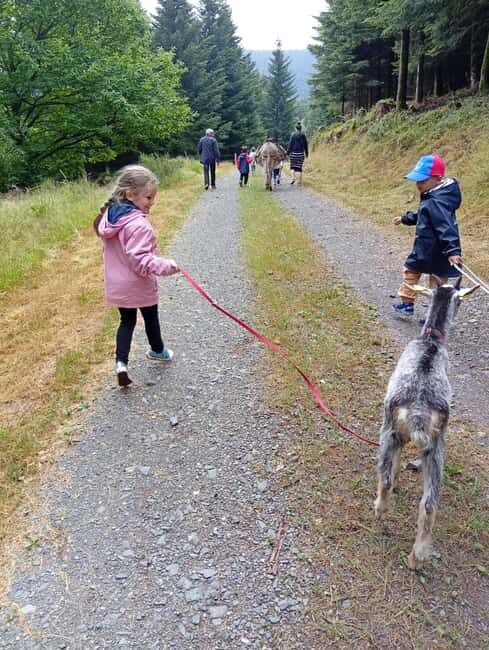 Luvigny: a unique getaway with donkeys and goats - The Experience in Context