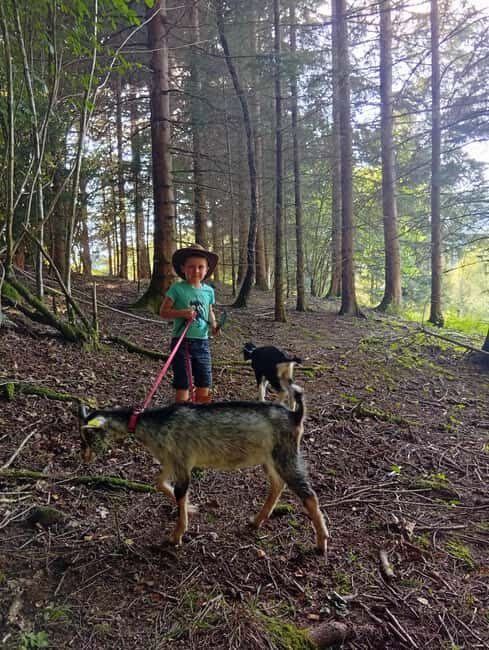 Luvigny: a unique getaway with donkeys and goats - Final Thoughts