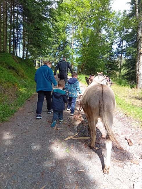 Luvigny: Donkey discovery walk - Key Points