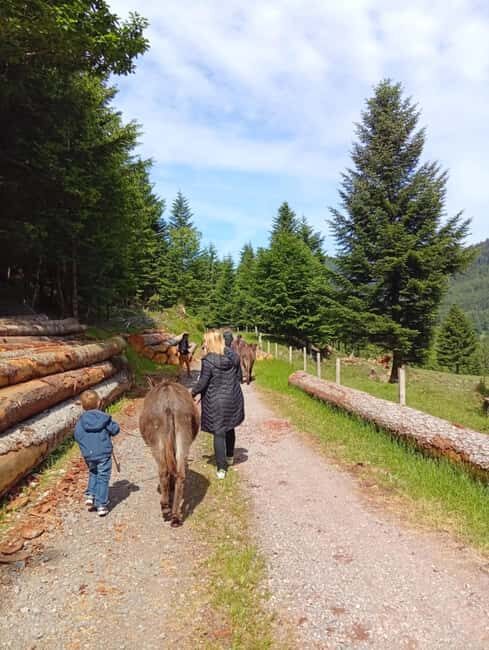 Luvigny: Donkey discovery walk - A Detailed Look at the Donkey Discovery Walk