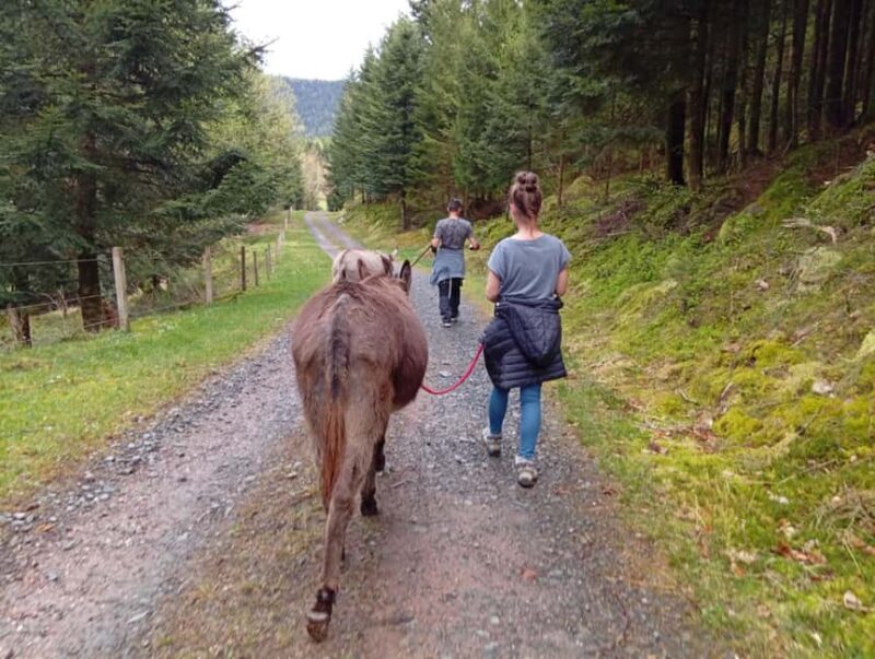 Luvigny: Donkey discovery walk - Final Thoughts