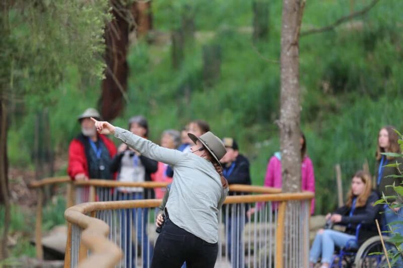 Luxe Bus Great Ocean Road Coastal Spectacular - Who Should Consider This Tour?