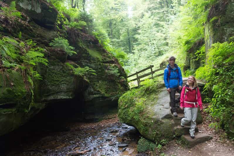 Luxembourg: Nature, History and Castles Full-Day Tour - Who Is This Tour Best Suited For?