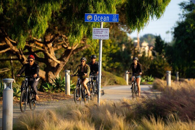 Luxurious Guided Electric Bike Tour to Torrey Pines - Who Will Appreciate This Tour?