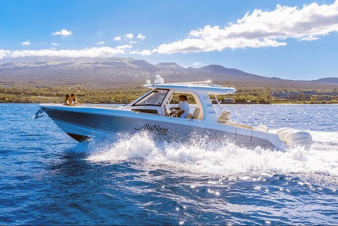 Luxury 6 passenger Boston Whaler Private Charter - Key Points: