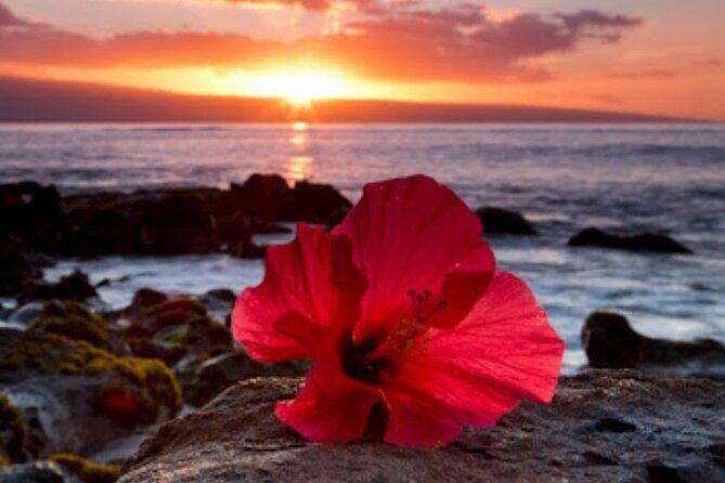 Luxury Airport Transfer in Hawaii - What You Can Expect from Drive in Style