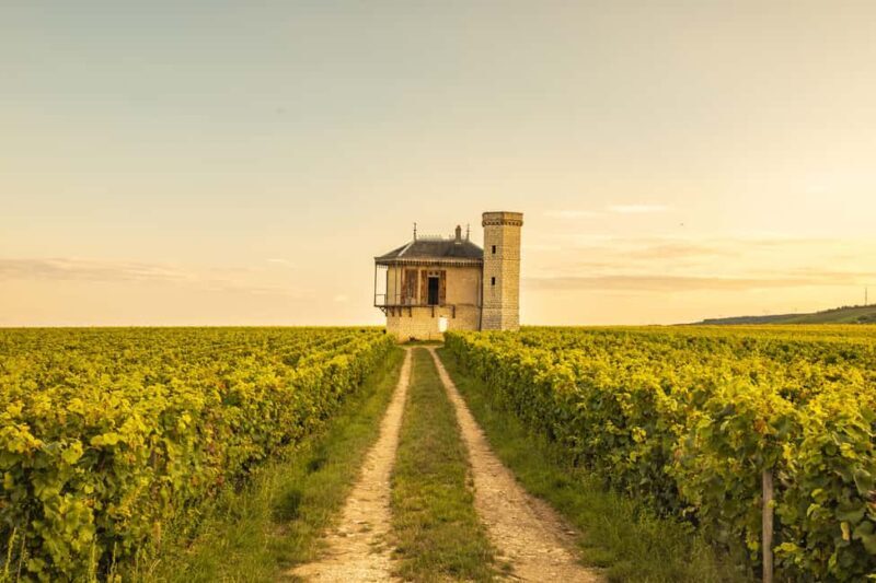 Luxury Burgundy Private Wine Tour - Key Points