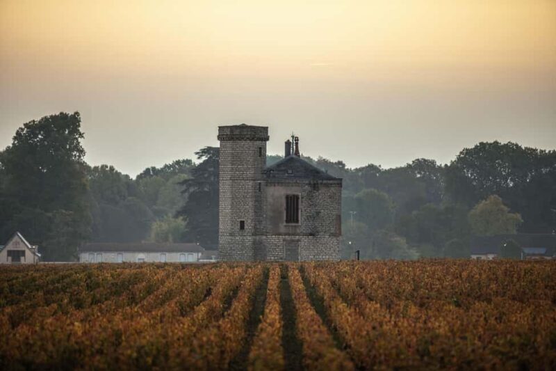 Luxury Burgundy Private Wine Tour - Final Thoughts: Who Should Consider This Tour?