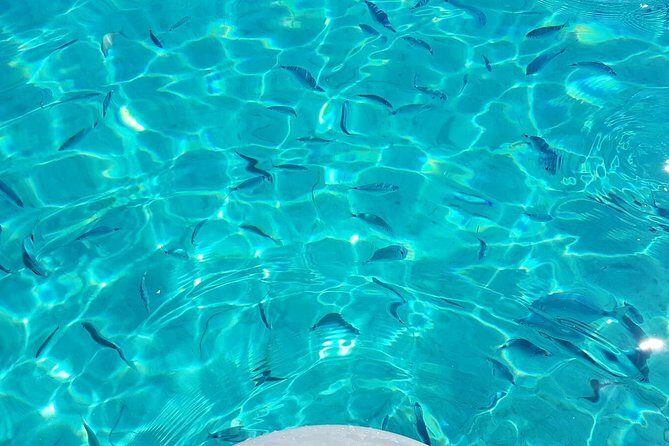 Luxury catamaran from Porto Rafael-Palau to the Maddalena Archipelago - Who This Tour Is Really For