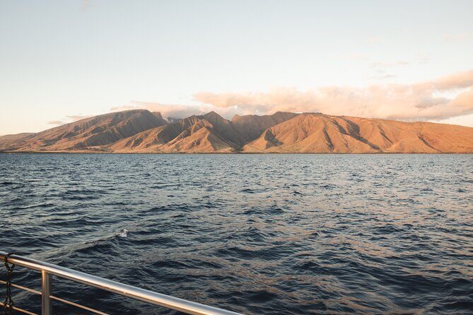 Luxury Catamaran Royal Sunset Dinner Sail (Adults-Only) - What to Expect from the Royal Sunset Dinner Sail