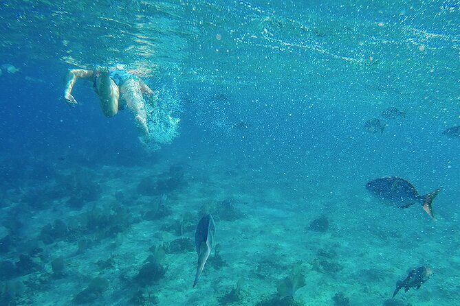 Luxury Catamaran to Isla Mujeres + Private Beach Club with Open Bar - Private Beach Club: Relaxation and Refreshments