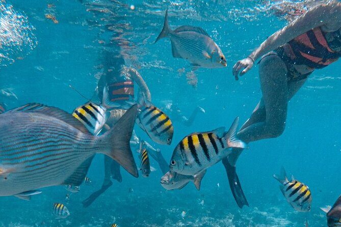 Luxury Catamaran to Isla Mujeres, Snorkeling, Buffet and Ice Bar - FAQs