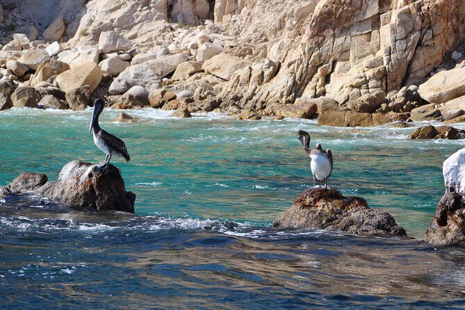 Luxury Cruise with Dinner and Music in Los Cabos - FAQs