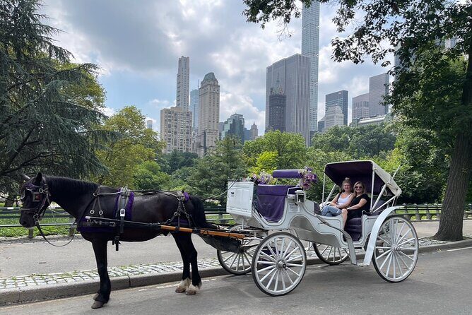 Luxury Horse and Carriage Tours in Central Park - An Overview of the Experience