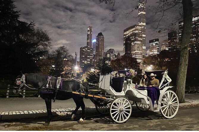 Luxury Horse and Carriage Tours in Central Park - The Experience from the Traveler’s Perspective