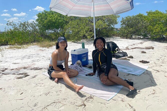 Luxury Kayak Tour To An Island Off Clearwater Beach! - (Tandem) - What You Can Expect From the Tour