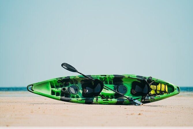 Luxury Kayak Tour To An Island Off Clearwater Beach! - (Tandem) - What Travelers Say