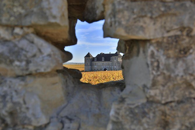 Luxury Luxury Wine Tour Experience - Key Points