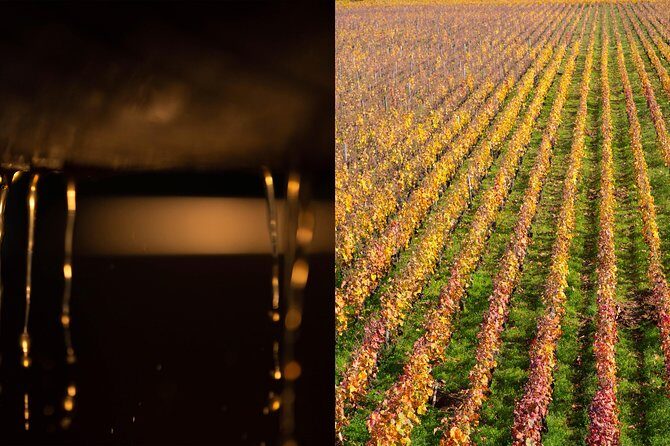 Luxury Luxury Wine Tour Experience - Price and Value