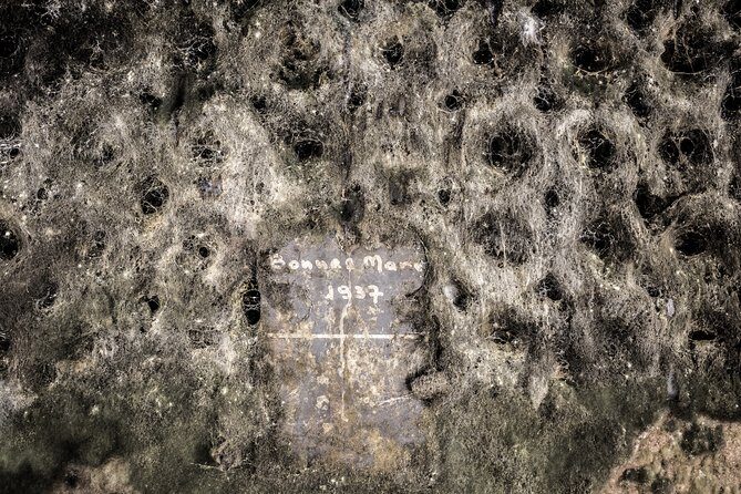 Luxury Luxury Wine Tour Experience - Final Thoughts