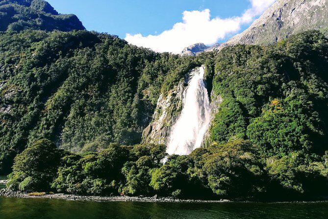 Luxury Milford Sound Coach and Scenic Cruise - FAQs