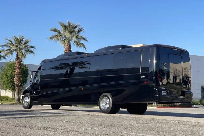 Luxury Mini Bus for 40 Passengers in Fort Lauderdale - Who Would Benefit from This Service?