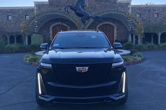 Luxury Napa Valley Wine Tours - An In-Depth Look at What to Expect